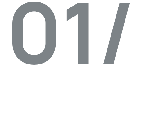 الشبكة الذكية