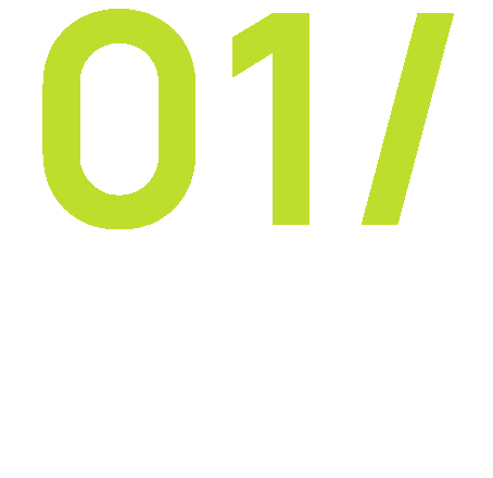 ERP Solutions